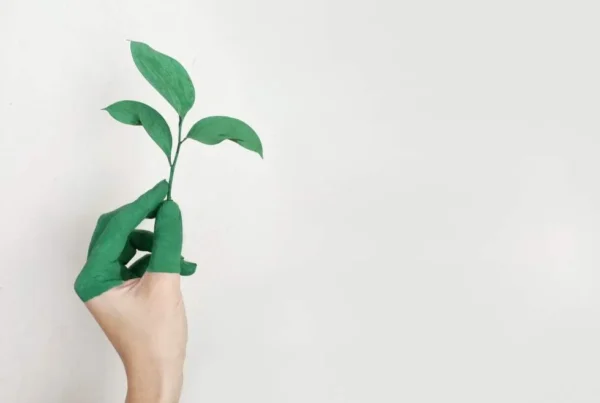 Carbon Neutral Website